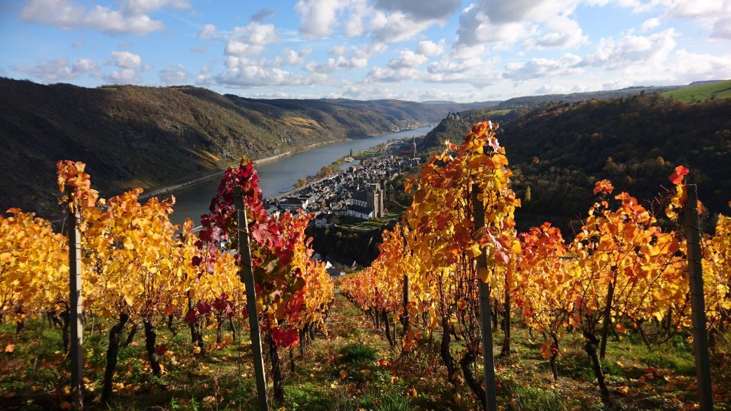 Foto 7 von Weingut Heinrich Weiler