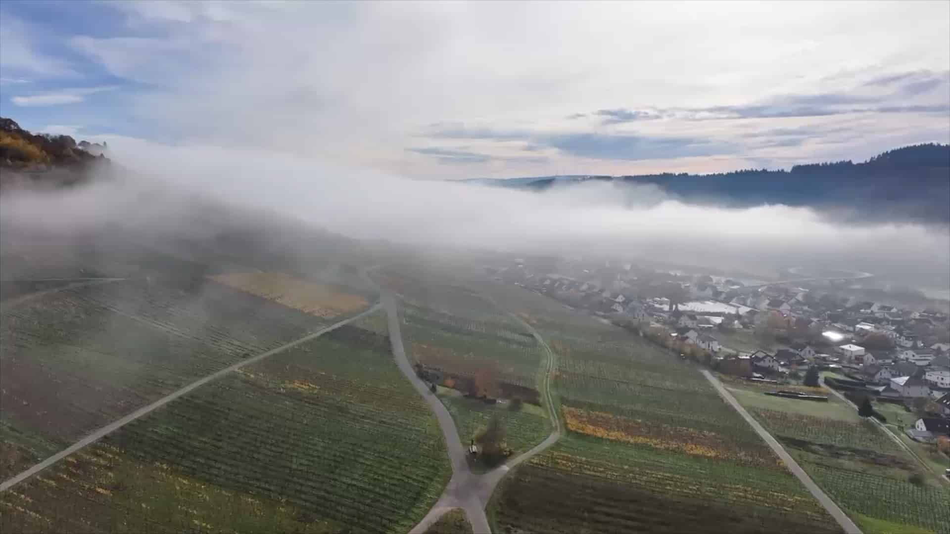 Weingut Heinrichshof