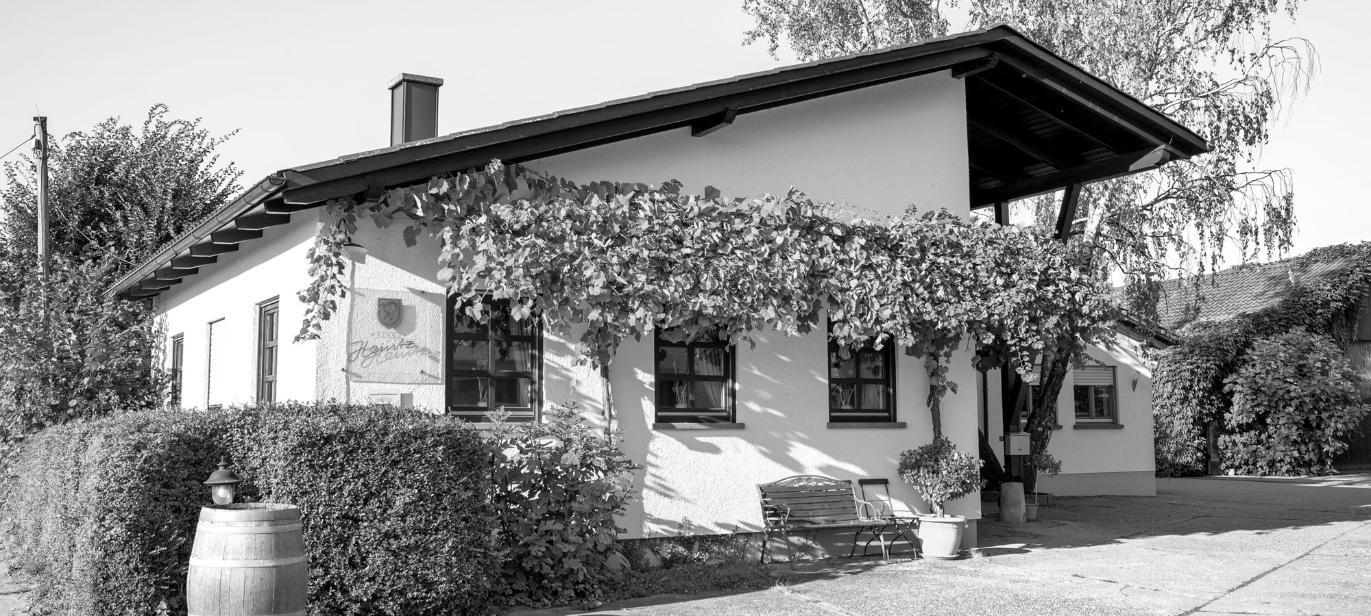 Foto 1 von Weingut Heintz & Sohn