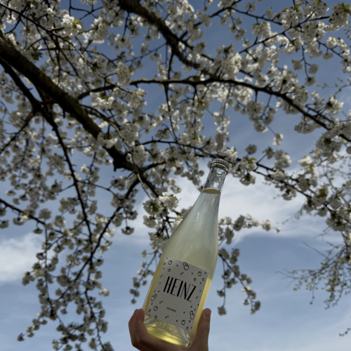 Foto 5 von Weingut Heinz