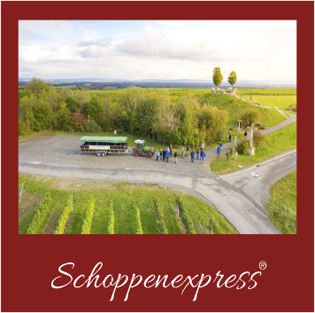 Foto 5 von Weingut Helene Borst