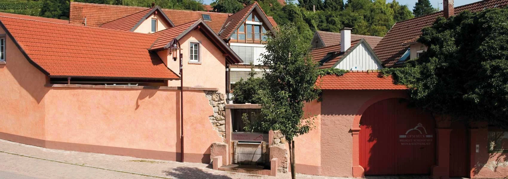Foto 3 von Weingut Helmar und Waltraud Schumacher