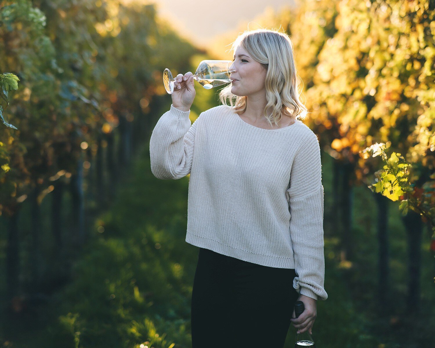 Foto 1 von Weingut Helmut Denig GbR