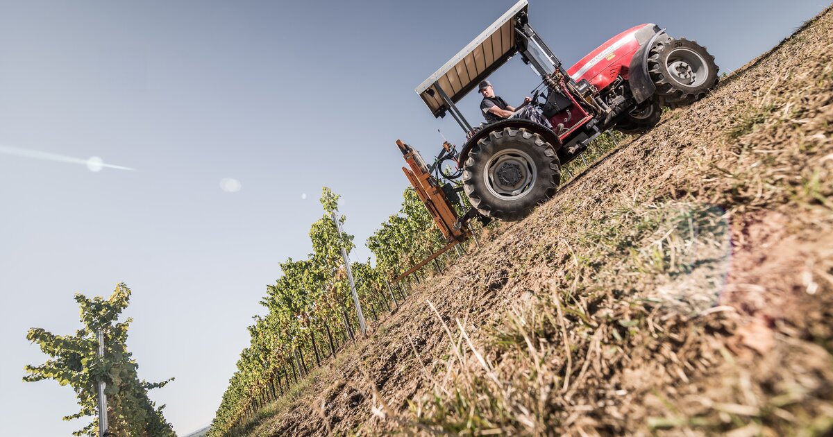 Weingut Helmut Geil