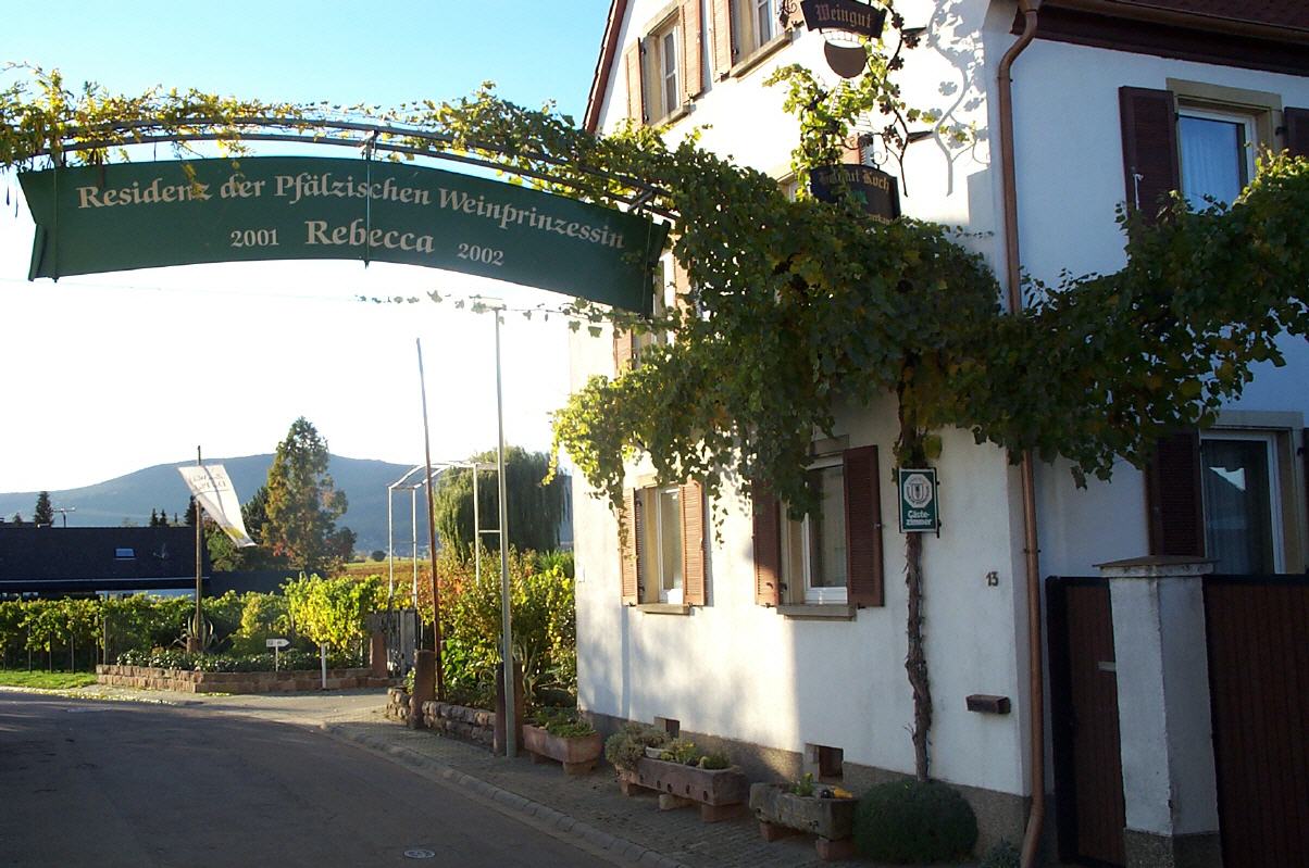 Foto 1 von Weingut Helmut Koch