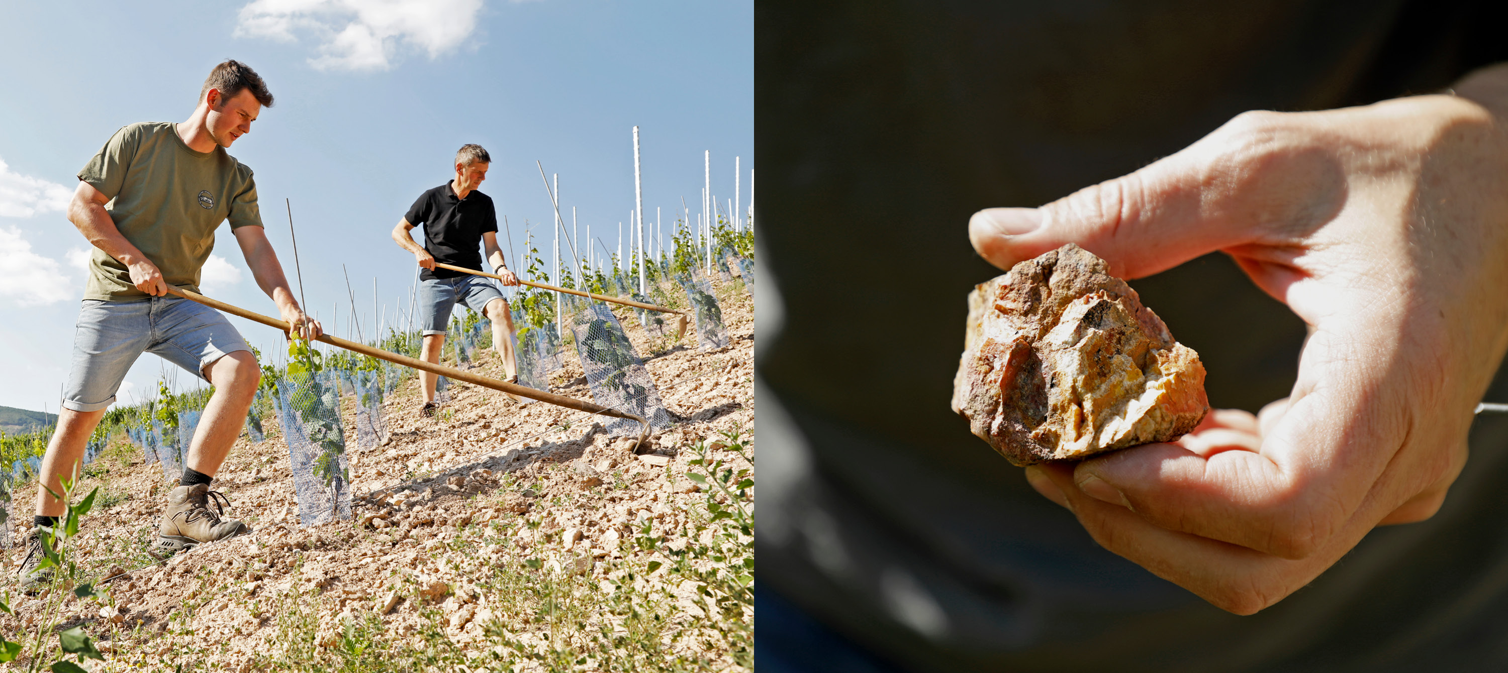 Weingut Hemmes
