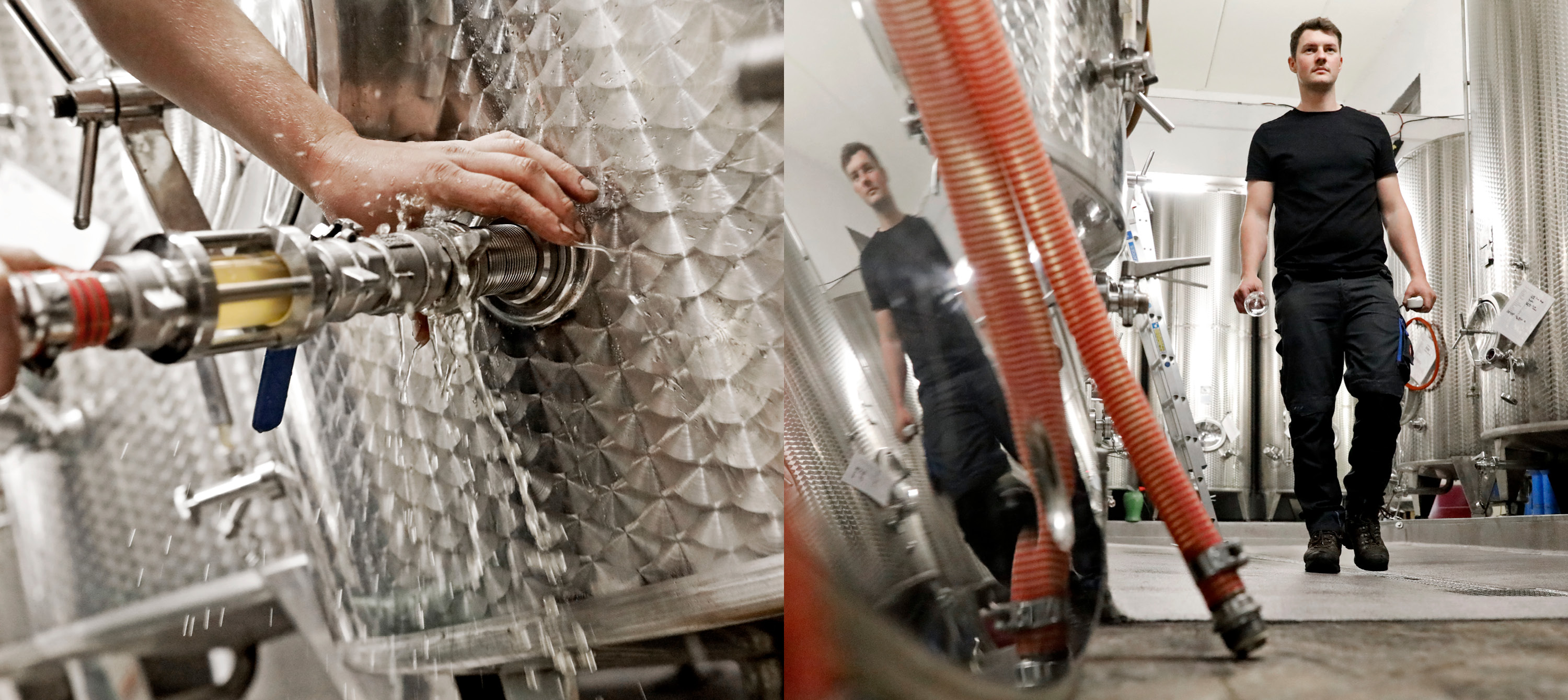 Foto 1 von Weingut Hemmes