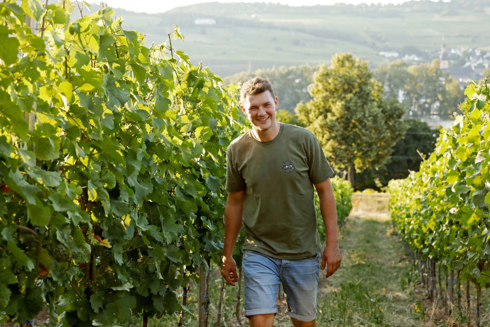 Foto 5 von Weingut Hemmes