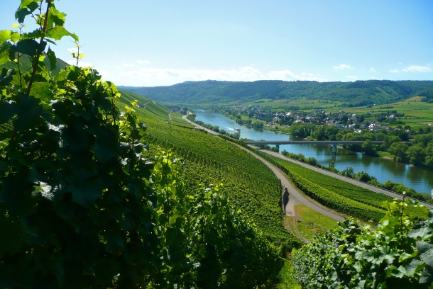 Weingut Henn-Schwaab