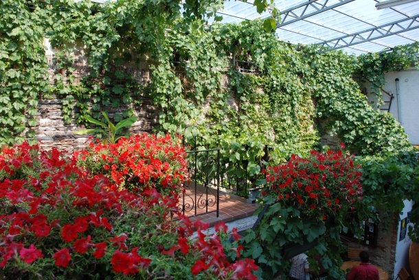 Foto 1 von Weingut Henn-Schwaab