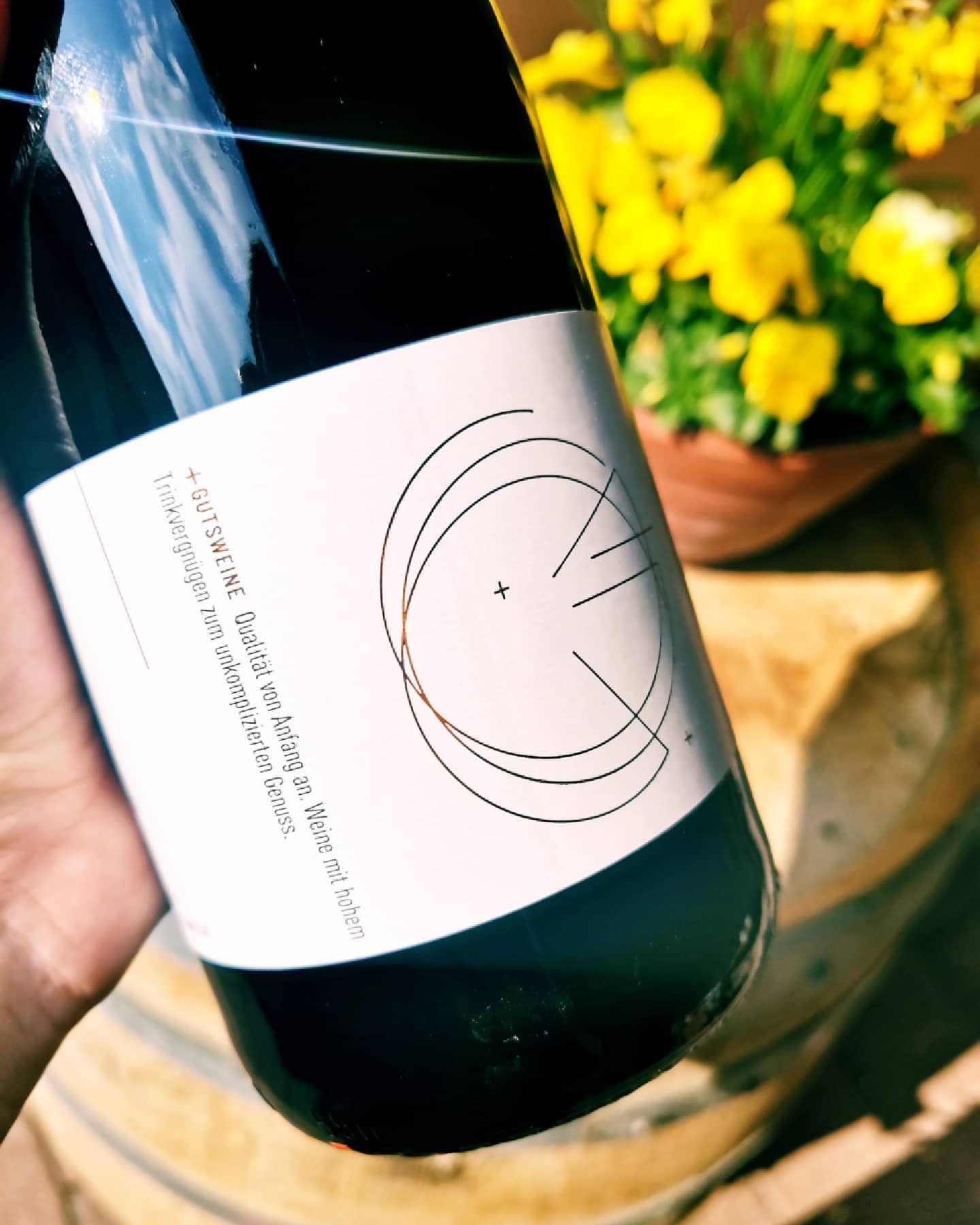 Foto 6 von Weingut Herbert Becker
