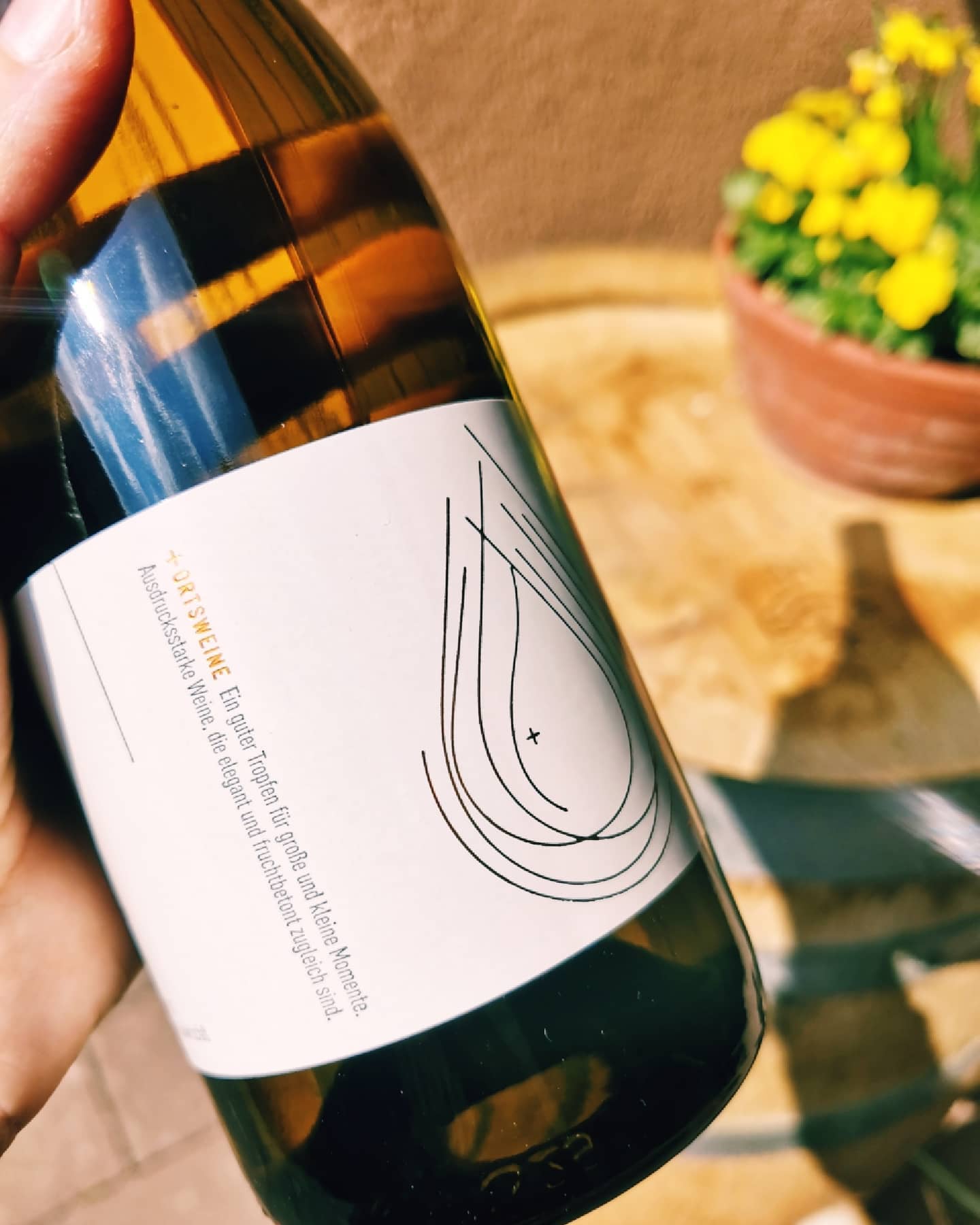 Foto 7 von Weingut Herbert Becker
