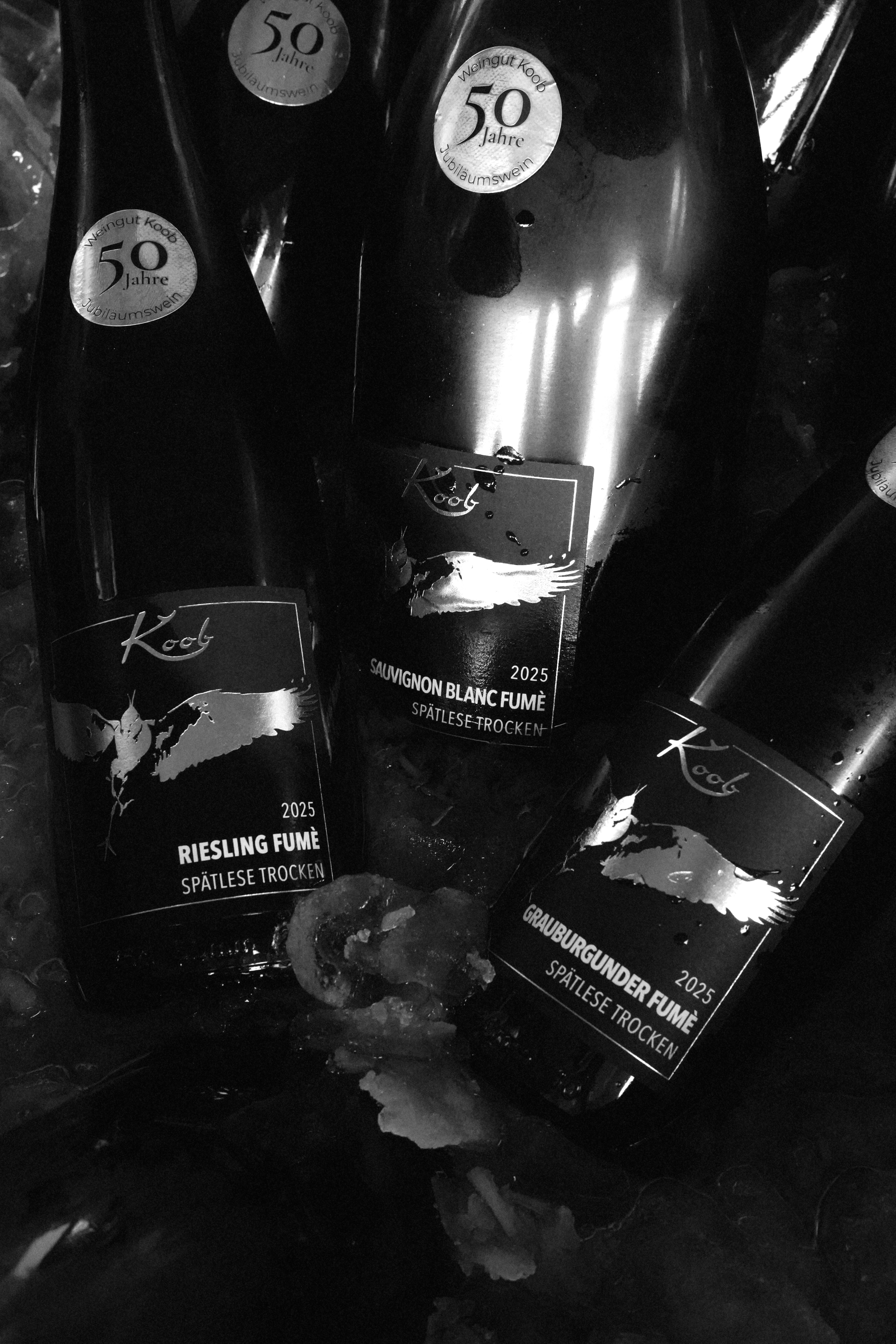 Foto 5 von Weingut Herbert Koob & Sohn