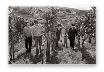 Weingut Hermann