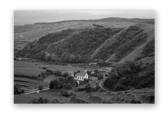 Foto 1 von Weingut Hermann