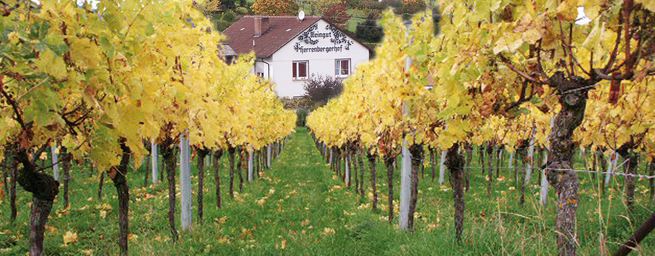Weingut Herrenbergerhof