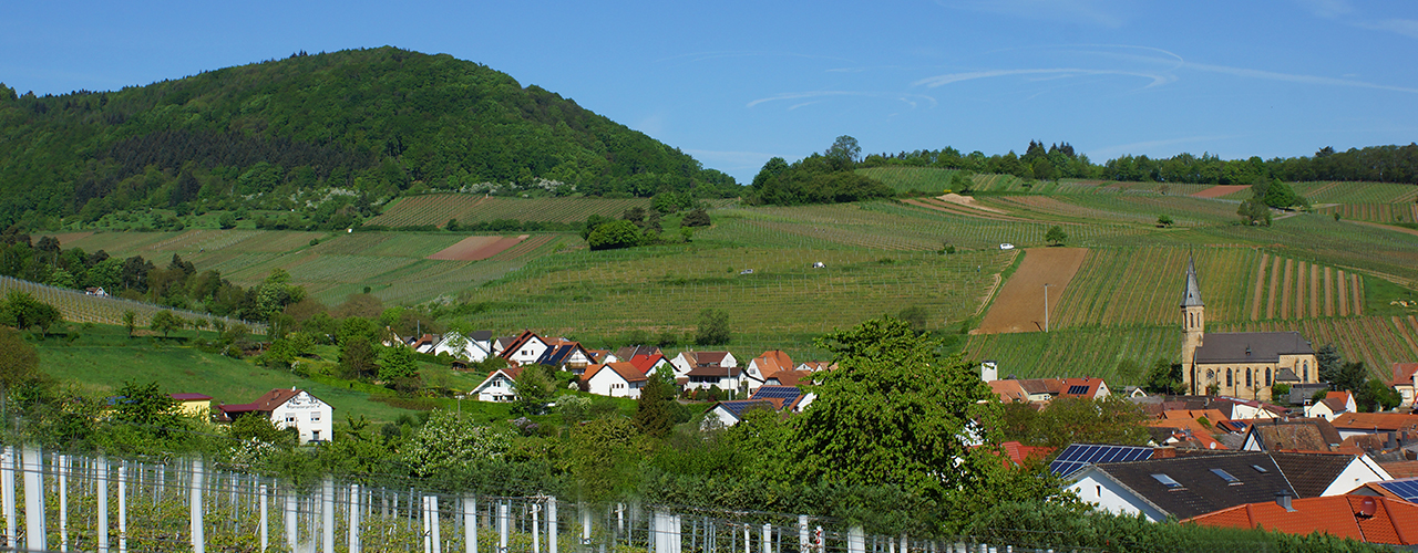 Фото 1 з Weingut Herrenbergerhof