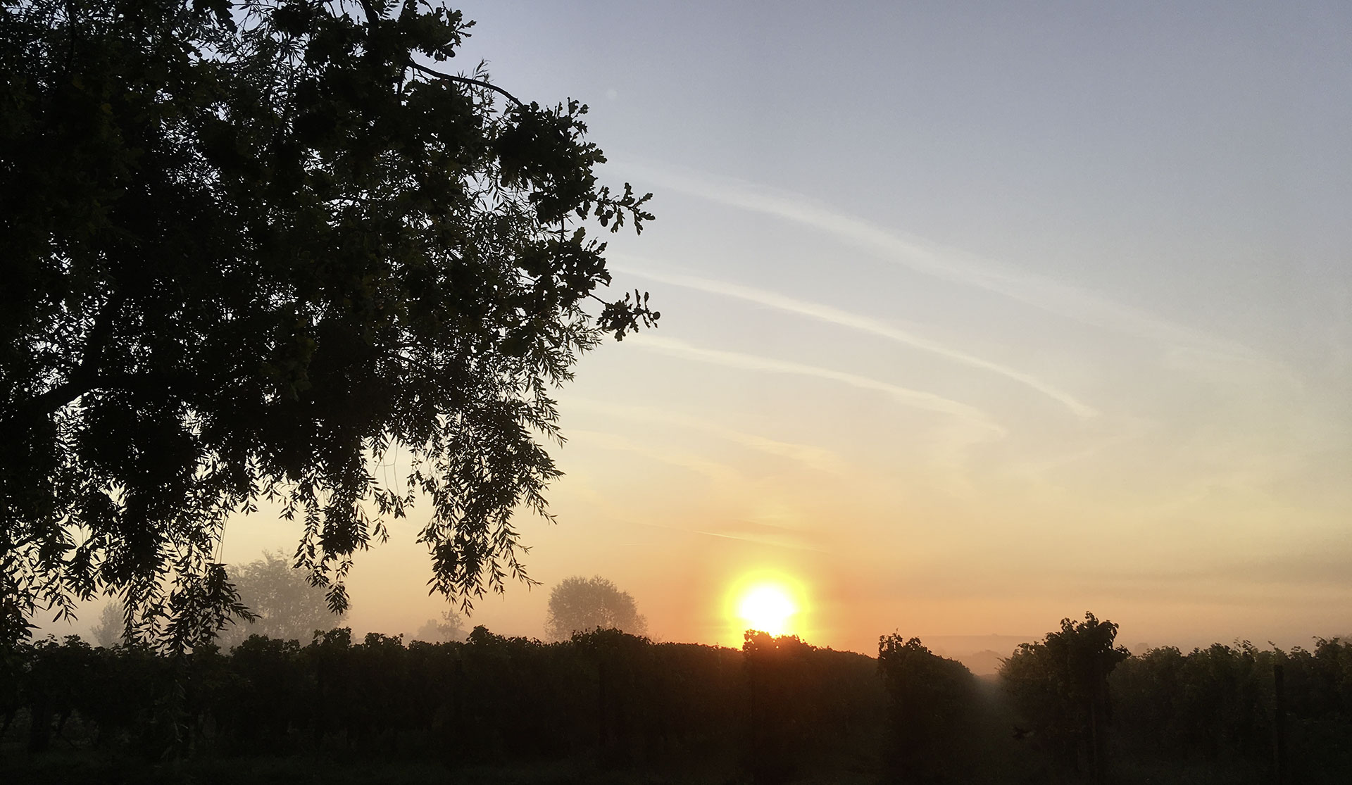 Weingut Herrenhof