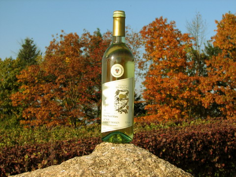Foto 7 von Weingut Herztal