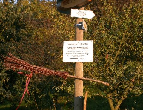 Foto 2 von Weingut Herztal