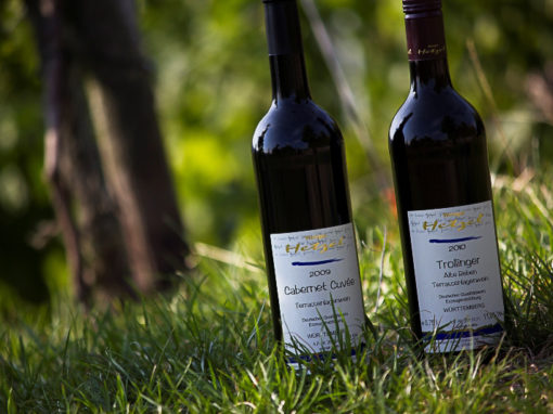 Foto 7 von Weingut Hetzel
