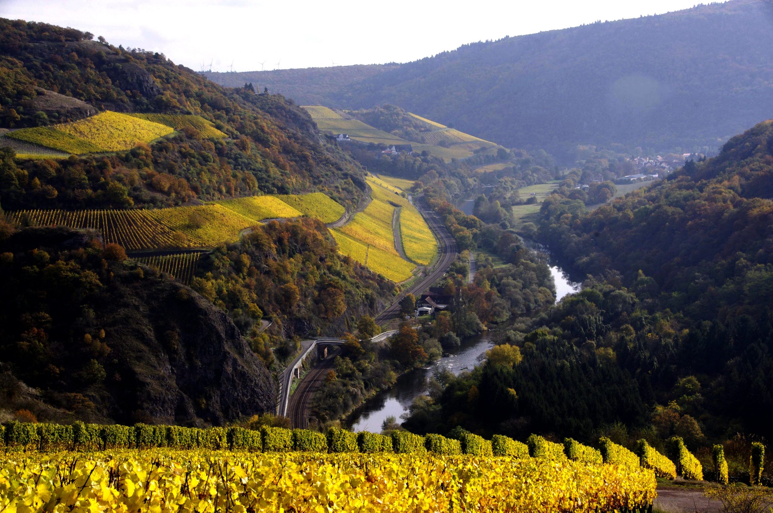 Foto 4 von Weingut Hexamer