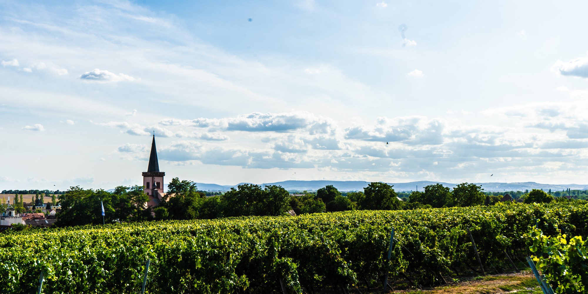 Foto 5 von Weingut Hinter der Kirche