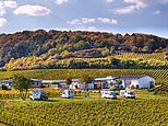 Weingut Hitzinger