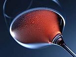 Foto 1 von Weingut Hitzinger