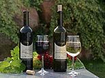 Foto 5 von Weingut Hitzinger
