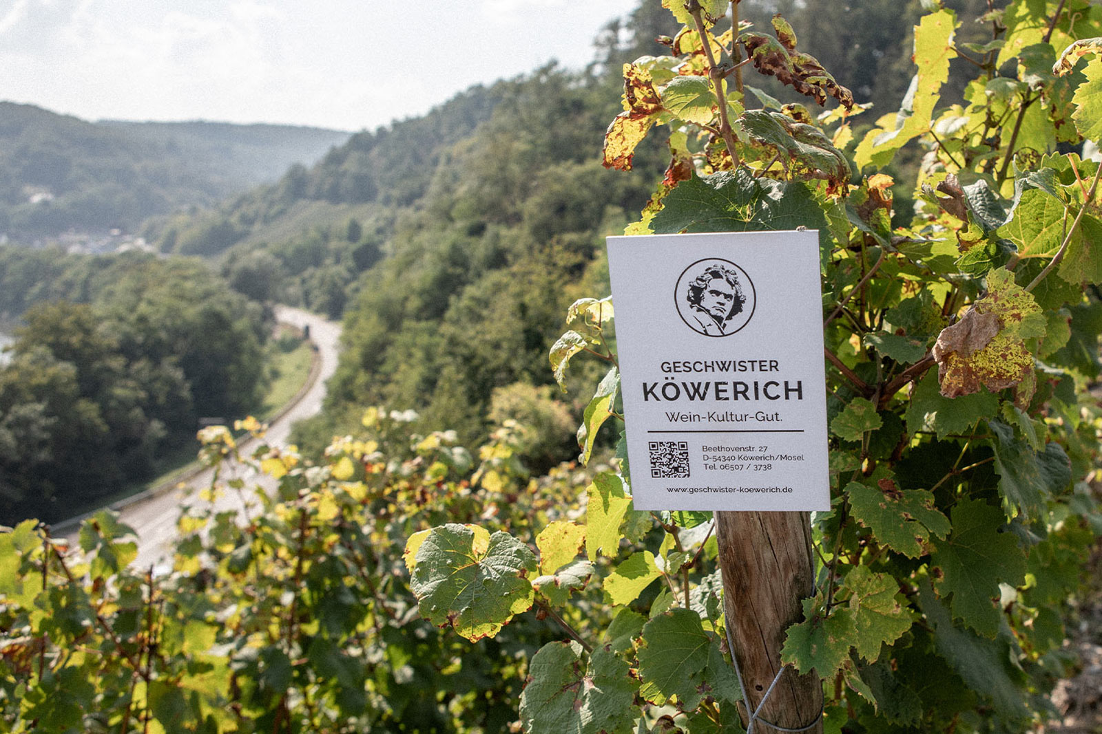 Foto 3 von Geschwister Köwerich