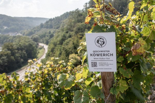 Foto 4 von Geschwister Köwerich