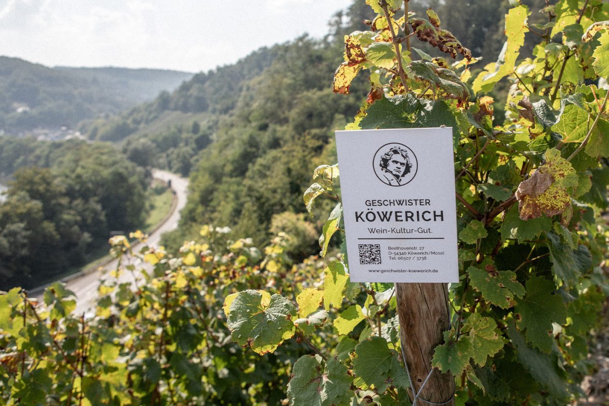 Foto 5 von Geschwister Köwerich