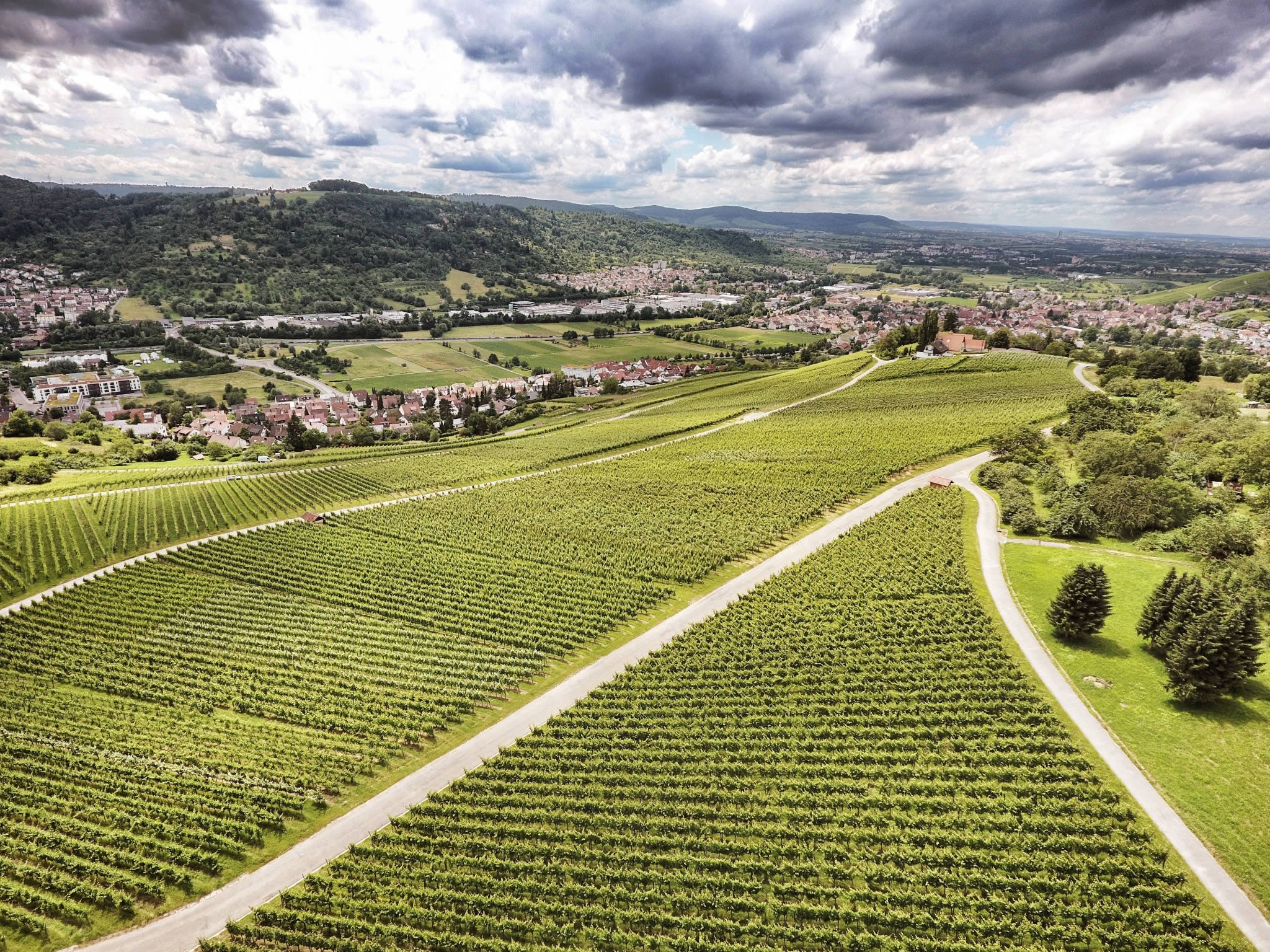 Weingut Hof Mayerle