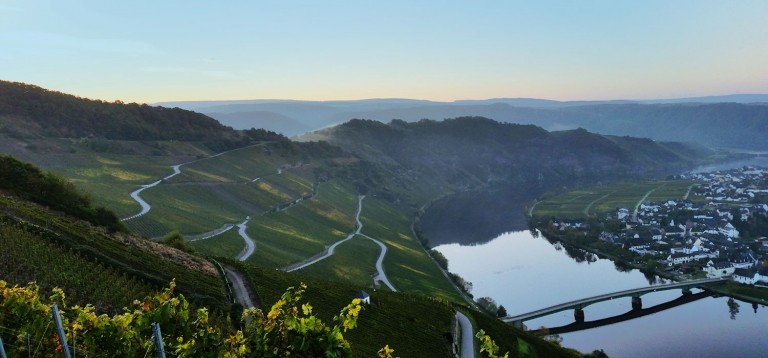 Foto 1 von Weingut Hoffmann-Simon