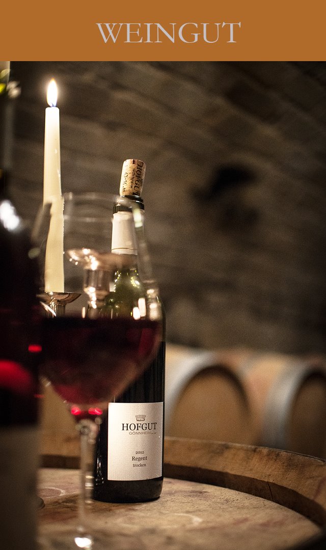Weingut Hofgut Gönnheim
