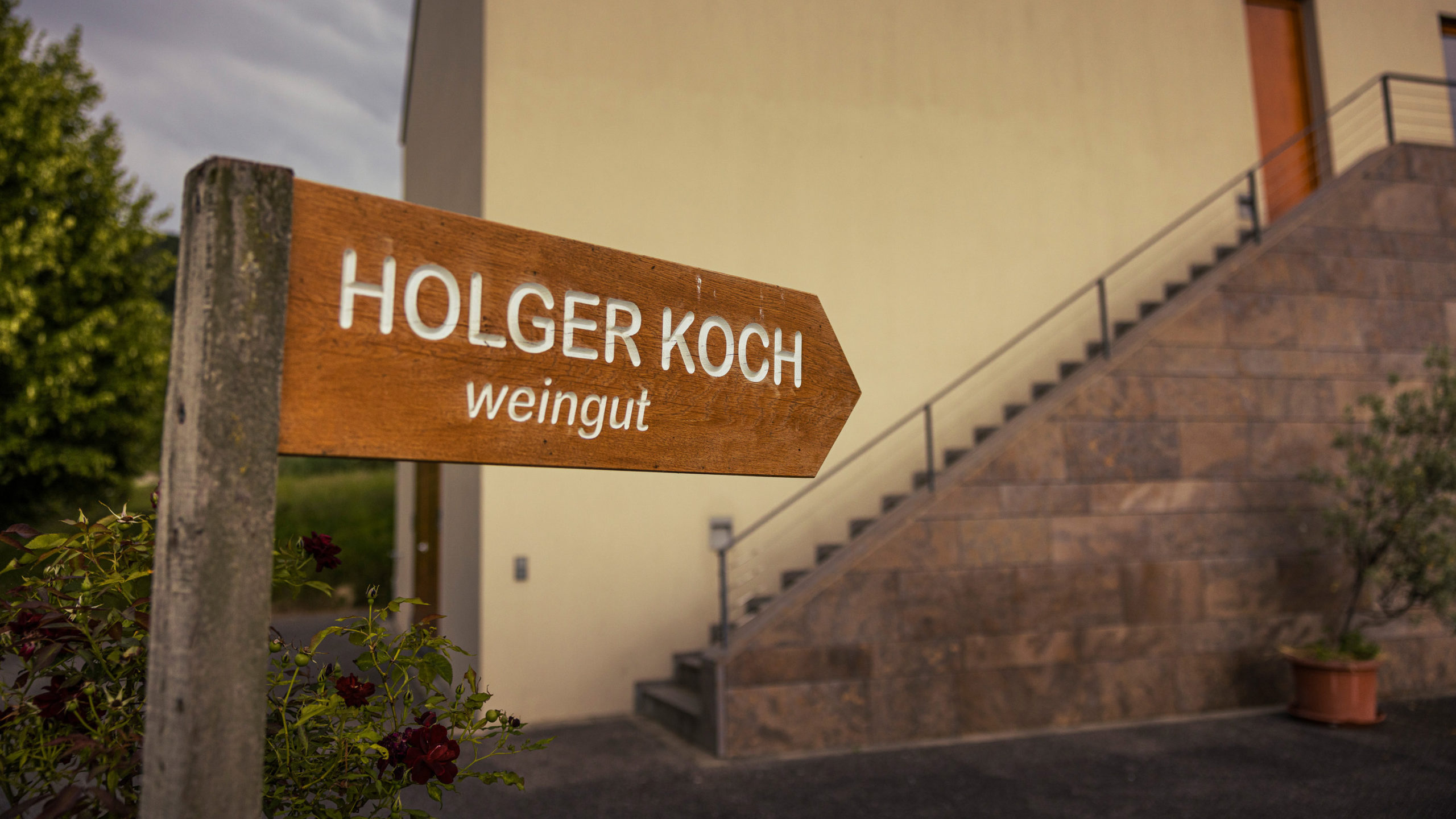 Foto 4 von Weingut Holger Koch