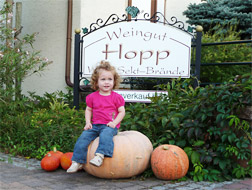 Foto 4 von Weingut Hopp