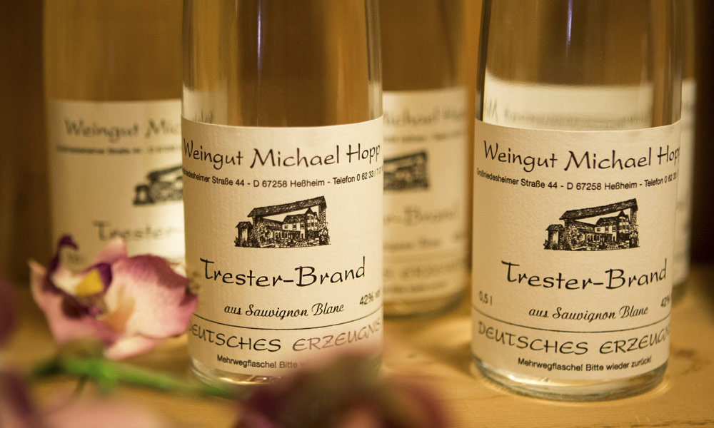 Foto 6 von Weingut Hopp