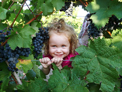 Foto 2 von Weingut Hopp