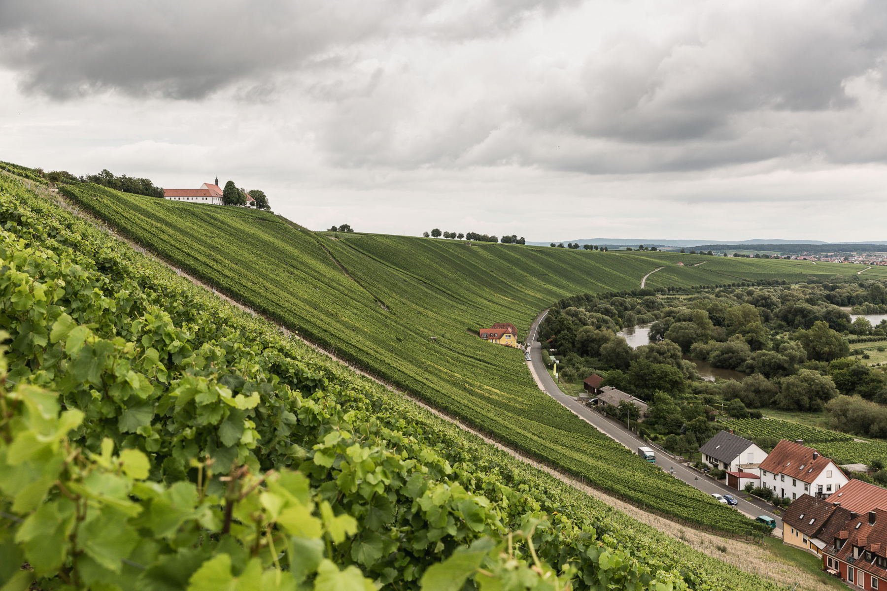 Foto 3 von Weingut Horst Sauer