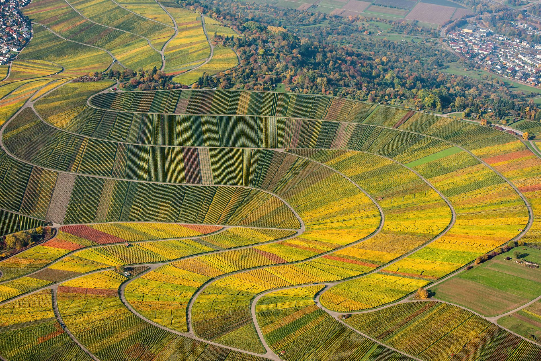 Foto 6 von Weingut J. Ellwanger