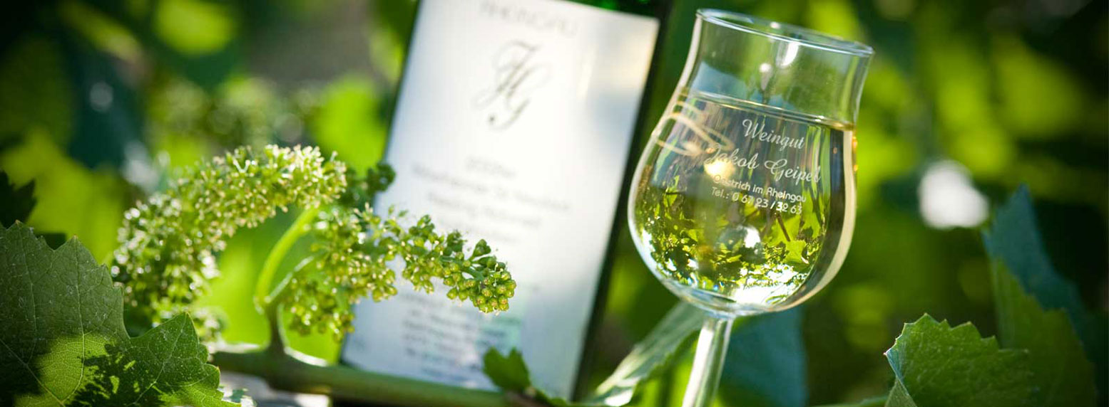 Weingut Jakob Geipel