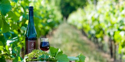 Foto 6 von Weingut Jakob Geipel