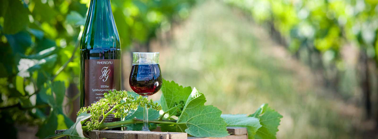 Foto 2 von Weingut Jakob Geipel