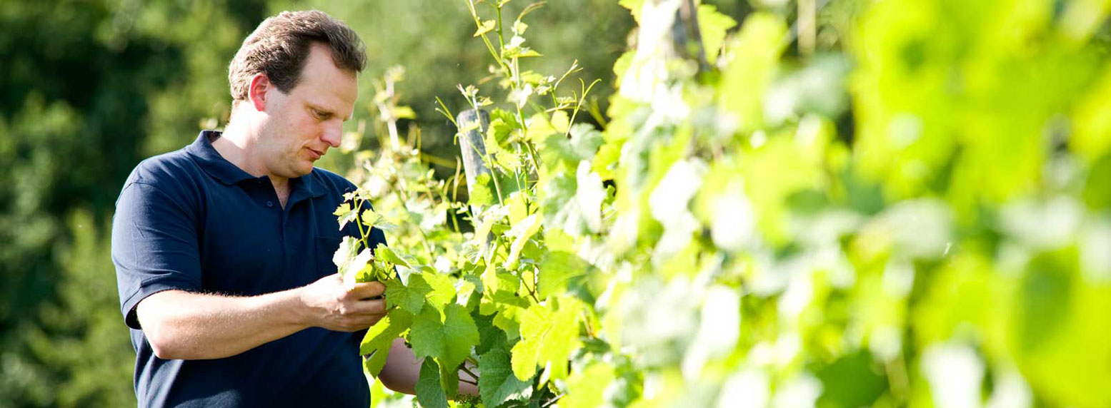 Foto 1 von Weingut Jakob Geipel