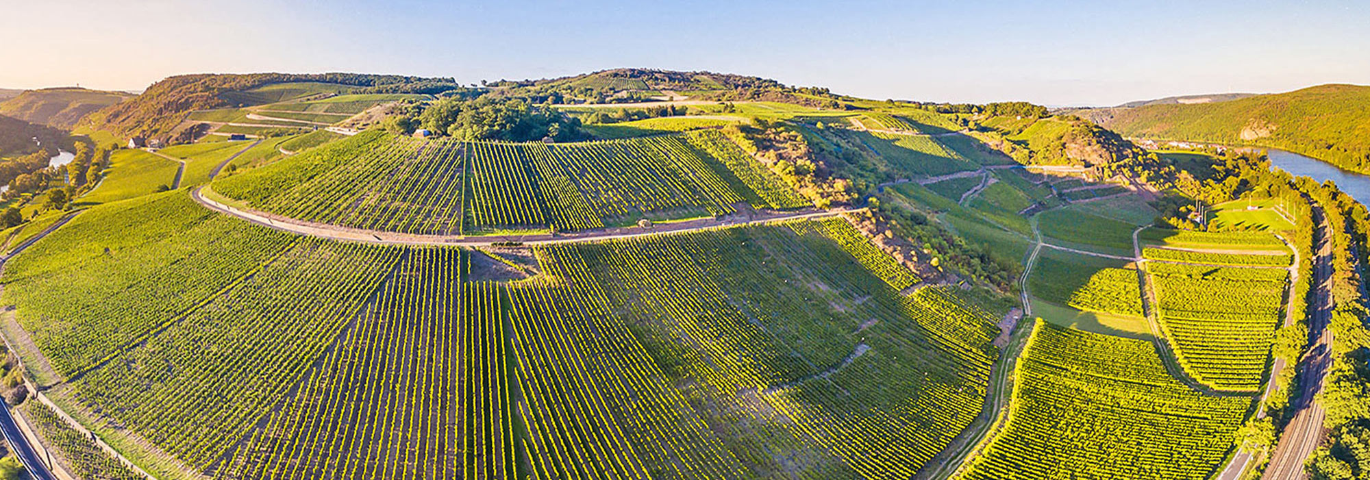 Foto 7 von Weingut Jakob Schneider