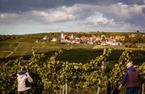 Weingut Janson Bernhard KG