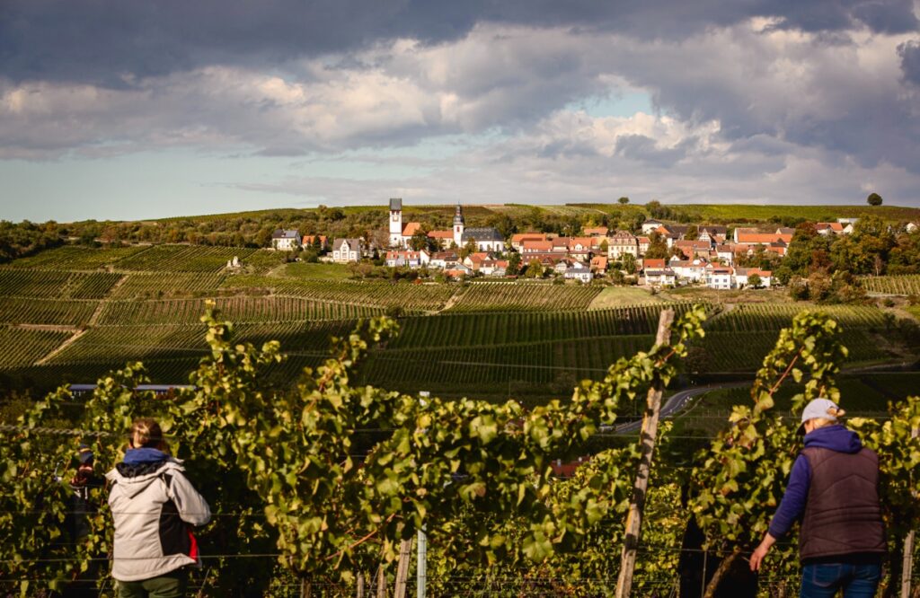 Foto 1 von Weingut Janson Bernhard KG