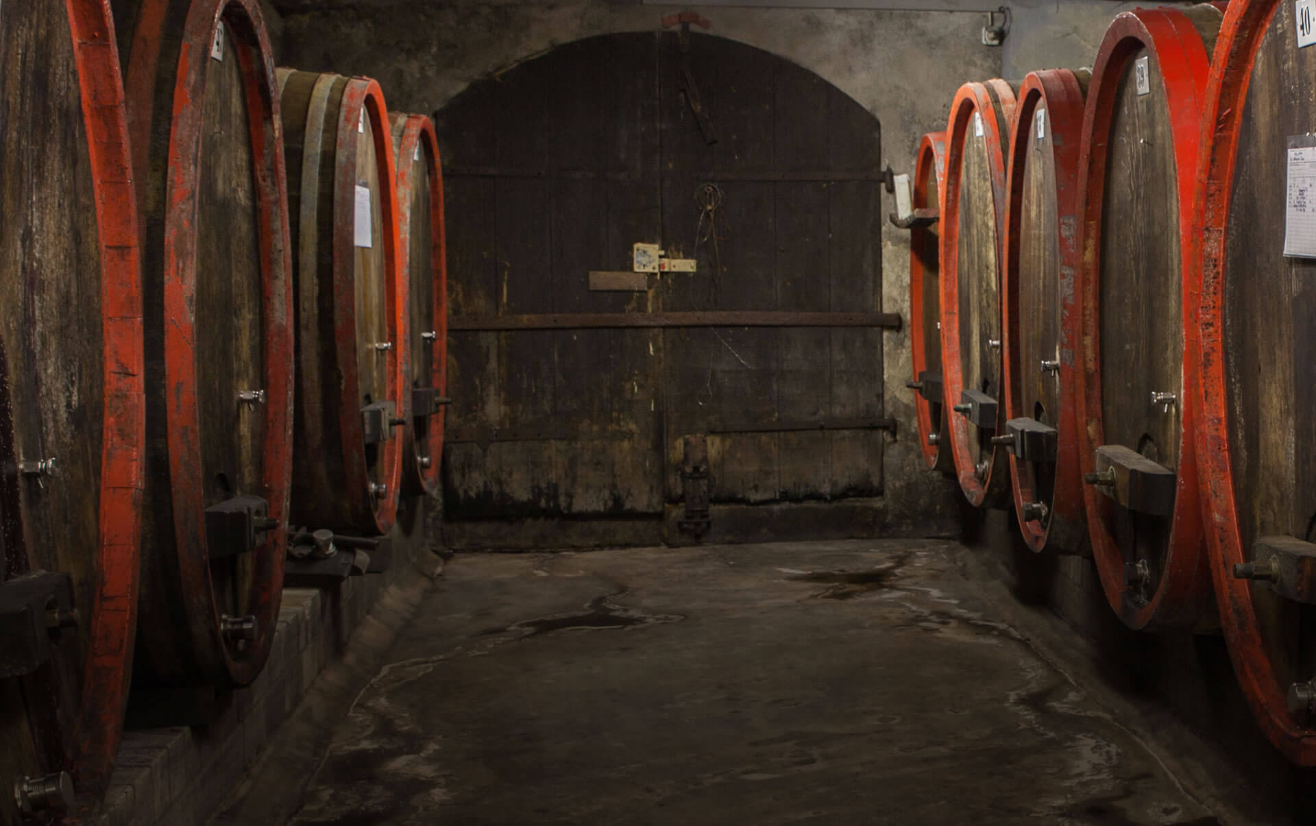 Foto 2 von Weingut Janson